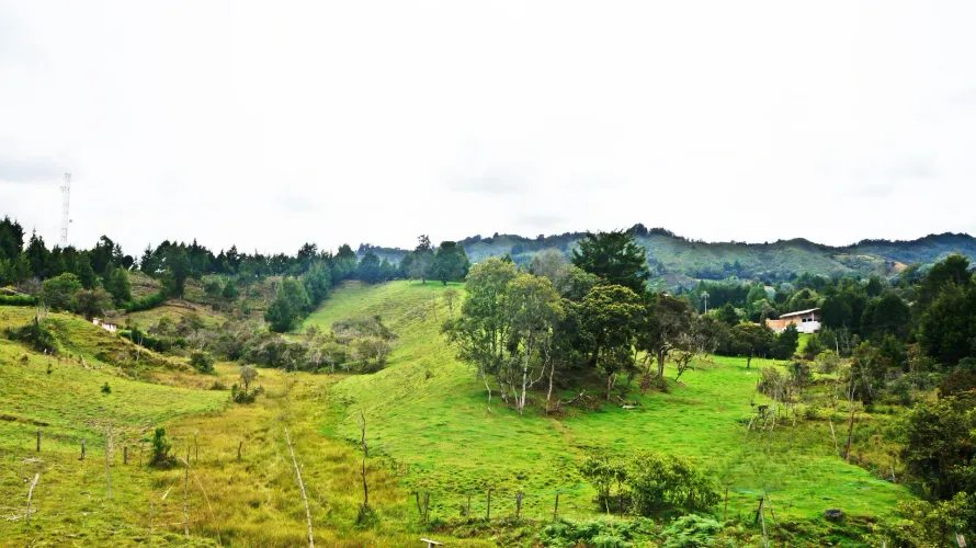 Lote en venta en Playa Rica-Rancheria, Rionegro, 32000 m² · foto 5 de 7