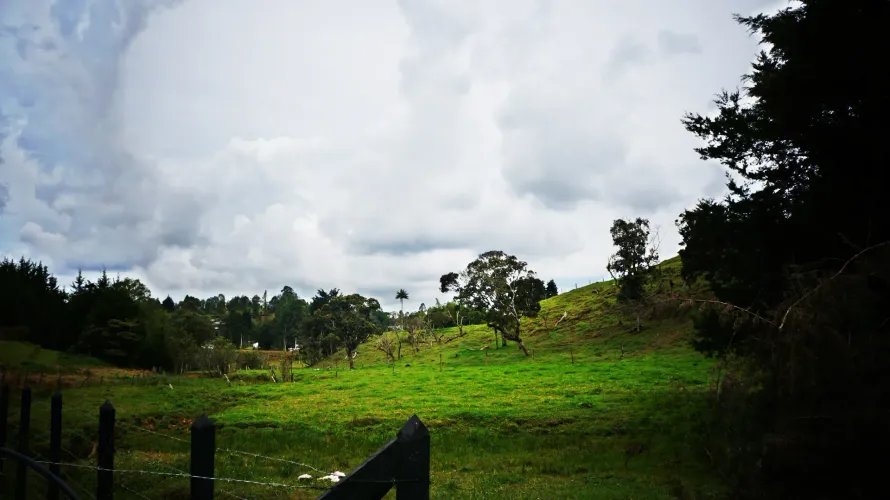 Lote en venta en Playa Rica-Rancheria, Rionegro, 32000 m² · foto 6 de 7