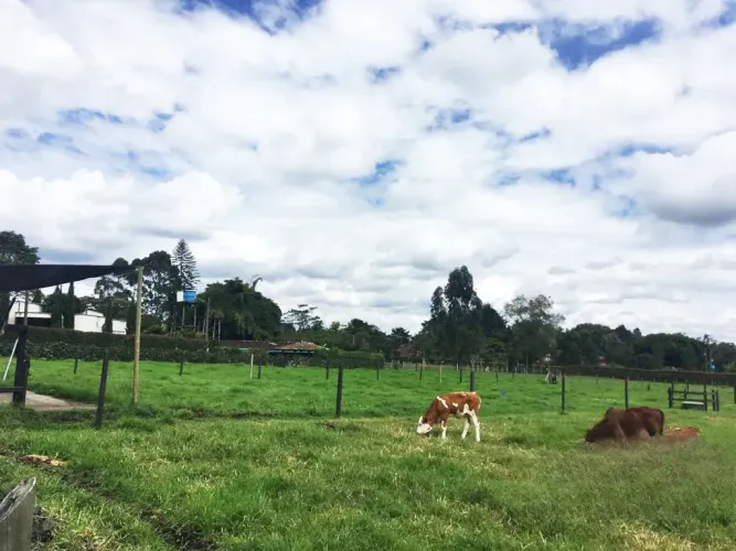 Lote en venta en Llano Grande, Rionegro, 10000 m² · foto 4 de 24