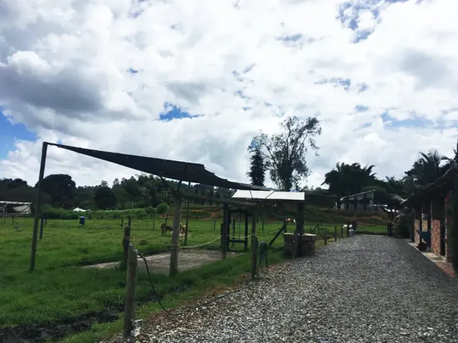 Lote en venta en Llano Grande, Rionegro, 10000 m² · foto 5 de 24