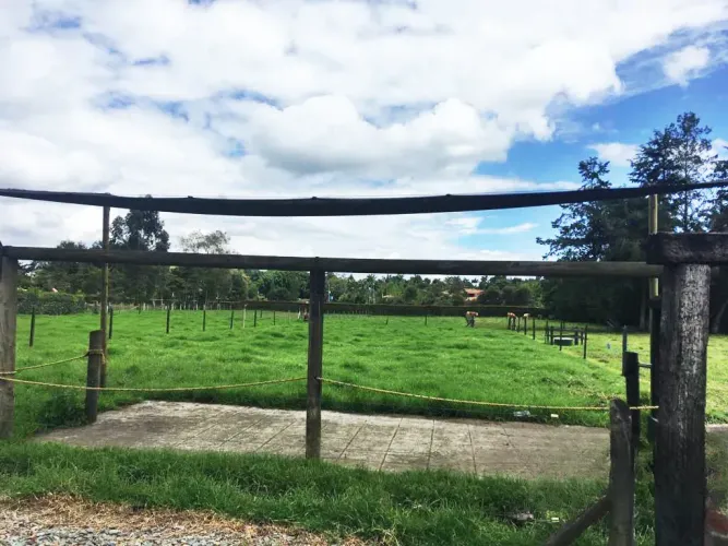 Lote en venta en Llano Grande, Rionegro, 10000 m² · foto 7 de 24