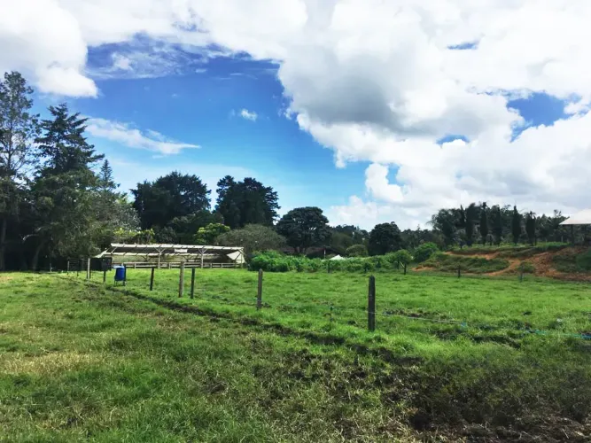 Lote en venta en Llano Grande, Rionegro, 10000 m² · foto 8 de 24