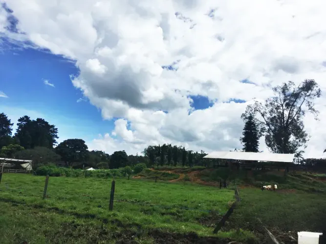 Lote en venta en Llano Grande, Rionegro, 10000 m² · foto 9 de 24