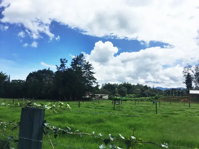 Lote en venta en Llano Grande, Rionegro, 10000 m² · foto 10 de 24