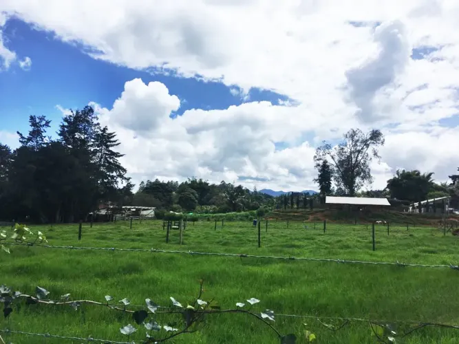 Lote en venta en Llano Grande, Rionegro, 10000 m² · foto 11 de 24