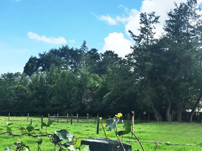 Lote en venta en Llano Grande, Rionegro, 10000 m² · foto 13 de 24