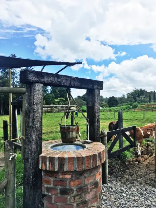 Lote en venta en Llano Grande, Rionegro, 10000 m² · foto 17 de 24