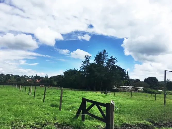 Lote en venta en Llano Grande, Rionegro, 10000 m² · foto 20 de 24