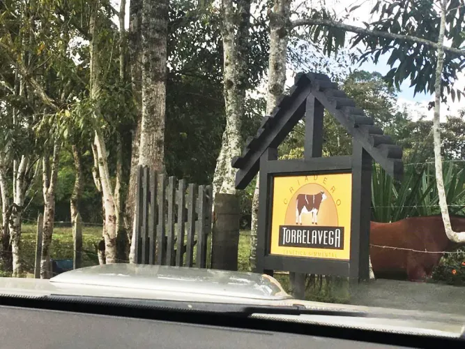 Lote en venta en Llano Grande, Rionegro, 10000 m² · foto 21 de 24
