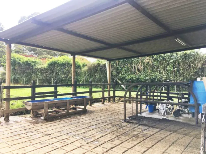 Lote en venta en Llano Grande, Rionegro, 10000 m² · foto 24 de 24