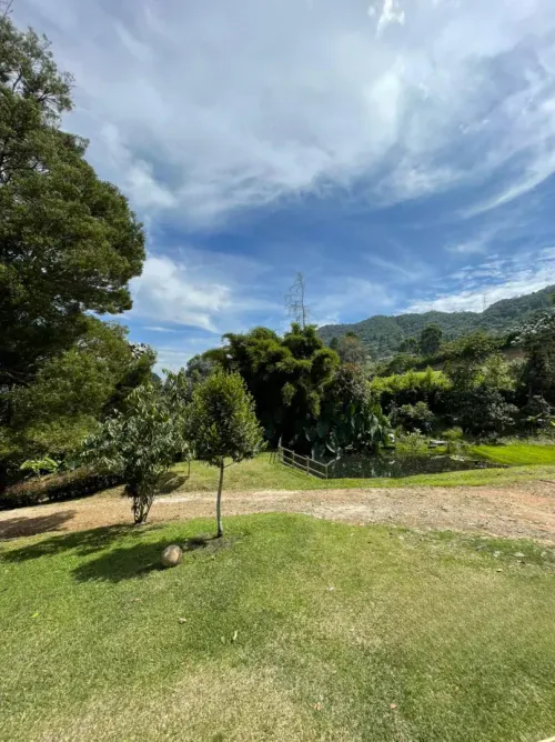 Finca en venta en El Tambo, La Ceja, 14650 m² · foto 7 de 24
