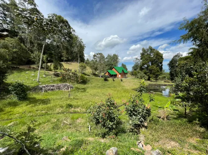 Finca en venta en El Tambo, La Ceja, 14650 m² · foto 10 de 24