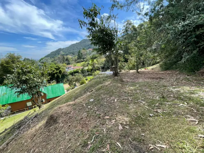 Finca en venta en El Tambo, La Ceja, 14650 m² · foto 11 de 24