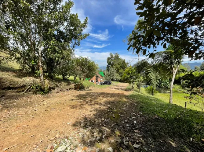 Finca en venta en El Tambo, La Ceja, 14650 m² · foto 12 de 24