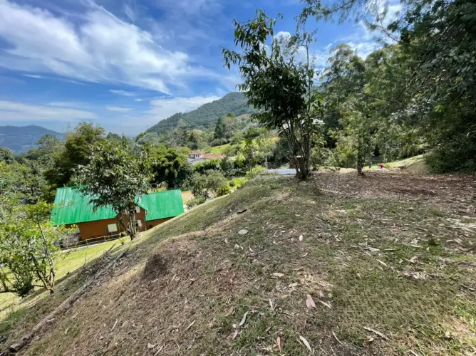 Finca en venta en El Tambo, La Ceja, 14650 m² · foto 14 de 24