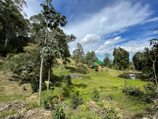 Finca en venta en El Tambo, La Ceja, 14650 m² · foto 17 de 24