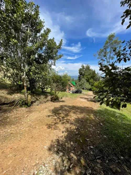 Finca en venta en El Tambo, La Ceja, 14650 m² · foto 24 de 24