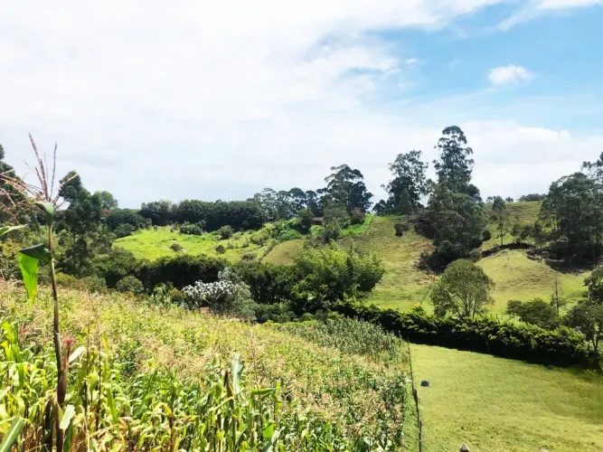 Lote en venta en Santa Ana, Rionegro, 11161 m² · foto 2 de 24