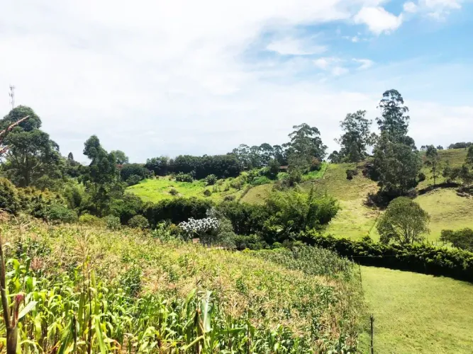 Lote en venta en Santa Ana, Rionegro, 11161 m² · foto 8 de 24
