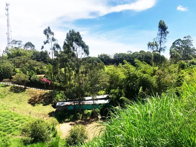 Lote en venta en Santa Ana, Rionegro, 11161 m² · foto 11 de 24