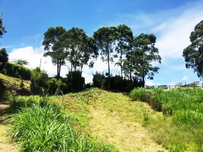 Lote en venta en Santa Ana, Rionegro, 11161 m² · foto 13 de 24