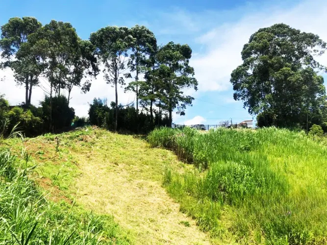 Lote en venta en Santa Ana, Rionegro, 11161 m² · foto 15 de 24