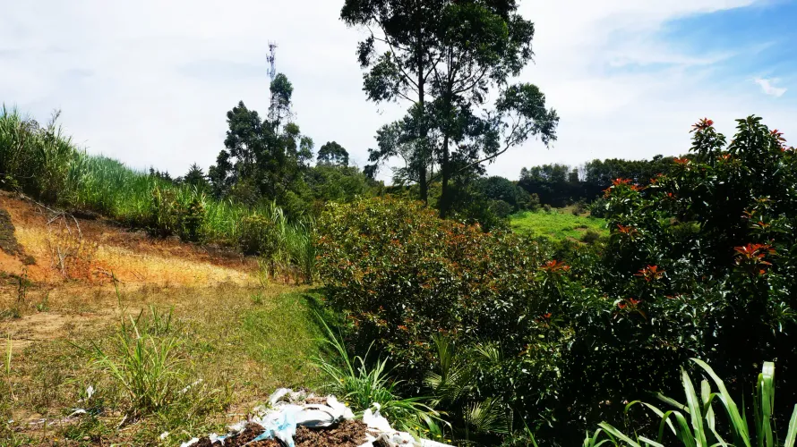 Lote en venta en Santa Ana, Rionegro, 11161 m² · foto 20 de 24