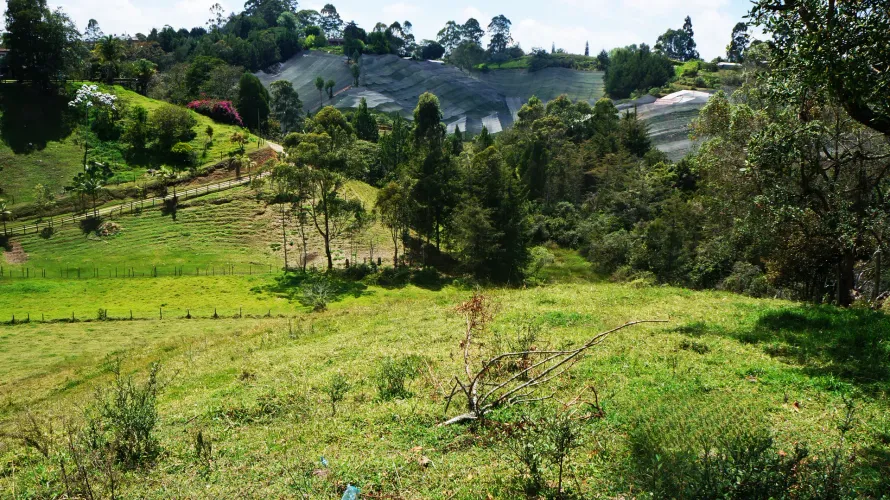 Lote en venta en Santa Ana, Rionegro, 11161 m² · foto 22 de 24