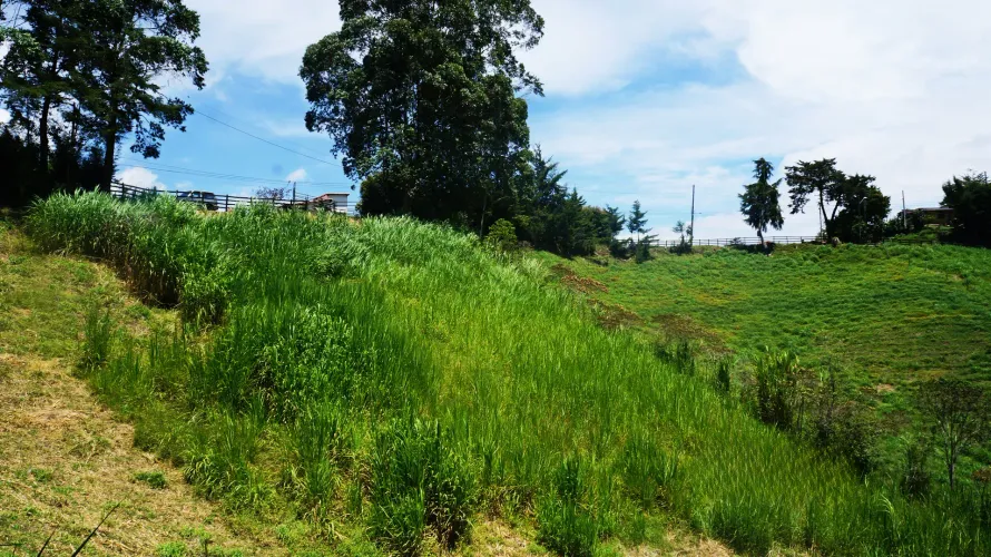 Lote en venta en Santa Ana, Rionegro, 11161 m² · foto 24 de 24