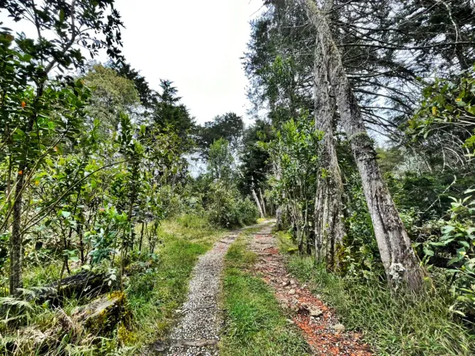 Finca en venta en La Quiebra, Rionegro, 10000 m² · foto 4 de 8