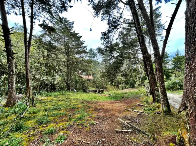 Finca en venta en La Quiebra, Rionegro, 10000 m² · foto 6 de 8
