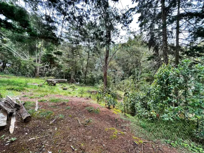 Finca en venta en La Quiebra, Rionegro, 10000 m² · foto 7 de 8
