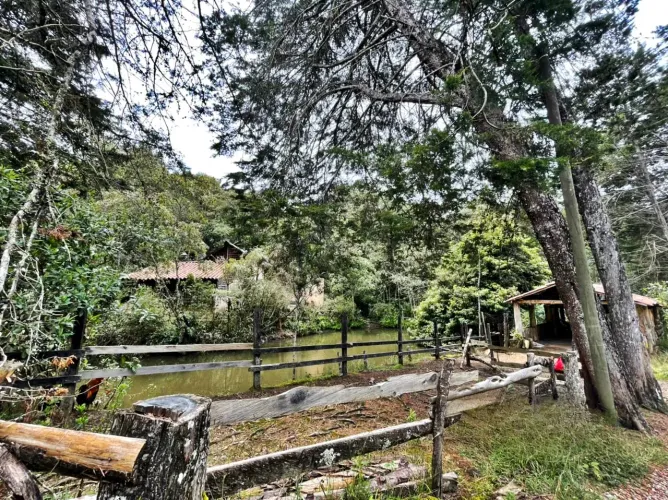 Finca en venta en La Quiebra, Rionegro, 10000 m² · foto 8 de 8