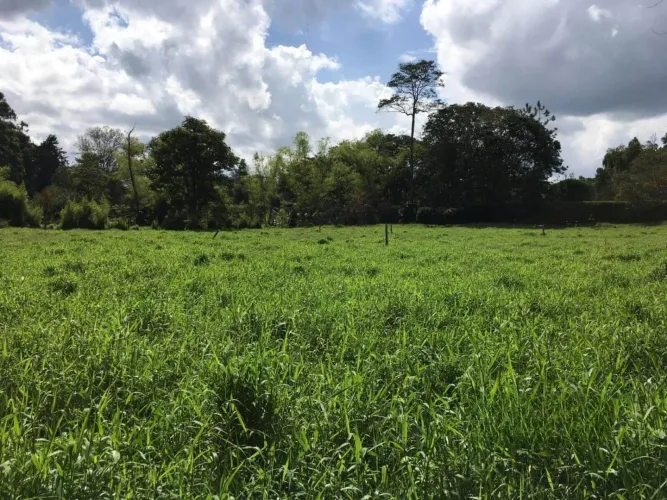 Lote en venta en Llano Grande, Rionegro, 9457 m² · foto 2 de 2