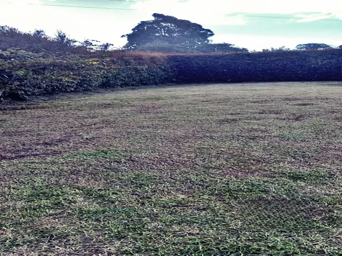 Lote en venta en El Higueron, Rionegro, 1832 m² · foto 2 de 14