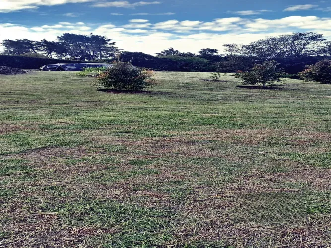 Lote en venta en El Higueron, Rionegro, 1832 m² · foto 3 de 14