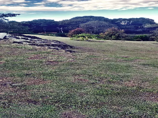 Lote en venta en El Higueron, Rionegro, 1832 m² · foto 5 de 14