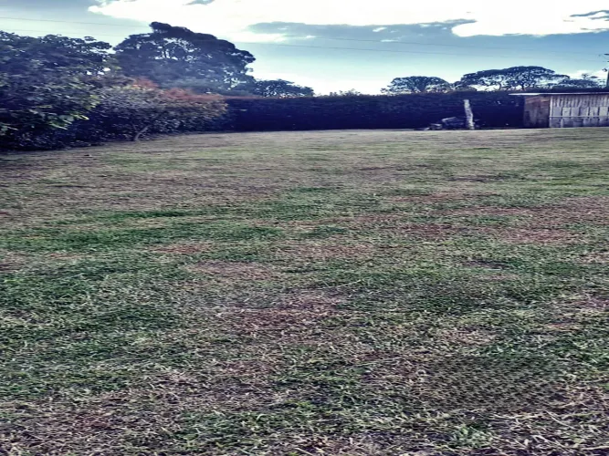 Lote en venta en El Higueron, Rionegro, 1832 m² · foto 6 de 14
