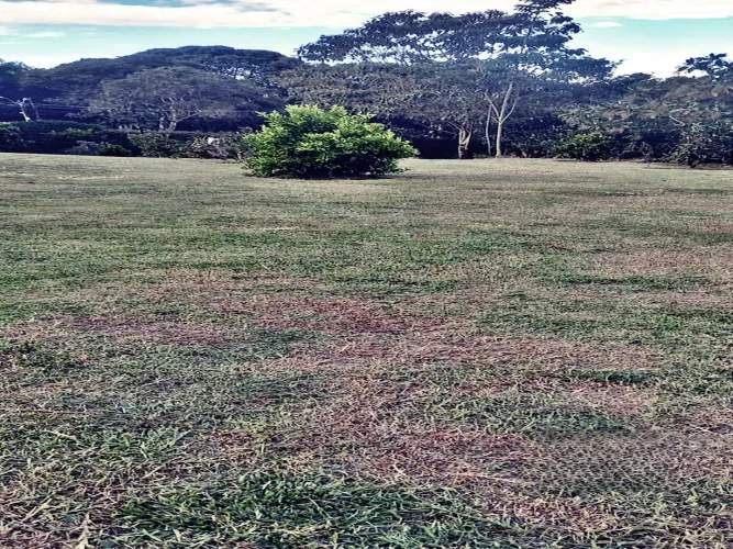 Lote en venta en El Higueron, Rionegro, 1832 m² · foto 7 de 14