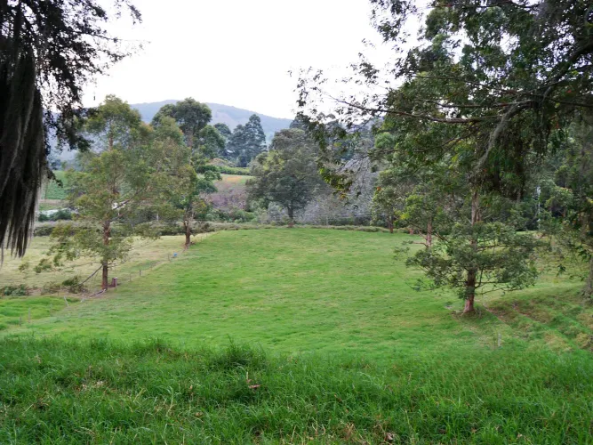 Finca en venta en Lomitas, La Ceja, 67488 m² · foto 2 de 21