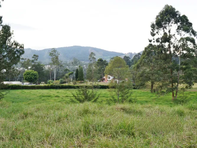 Finca en venta en Lomitas, La Ceja, 67488 m² · foto 3 de 21