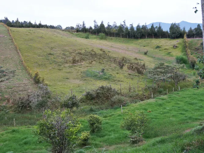 Finca en venta en Lomitas, La Ceja, 67488 m² · foto 4 de 21