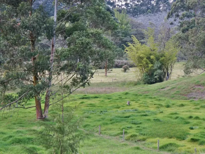 Finca en venta en Lomitas, La Ceja, 67488 m² · foto 5 de 21