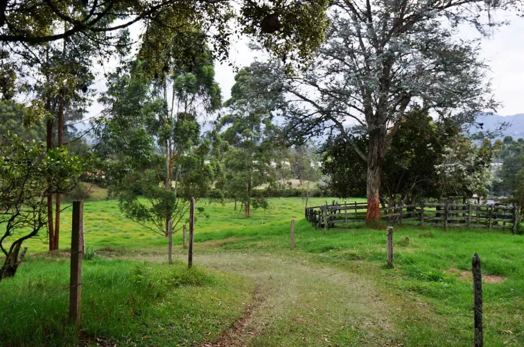 Finca en venta en Lomitas, La Ceja, 67488 m² · foto 6 de 21