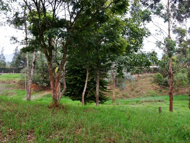 Finca en venta en Lomitas, La Ceja, 67488 m² · foto 7 de 21