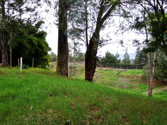 Finca en venta en Lomitas, La Ceja, 67488 m² · foto 8 de 21