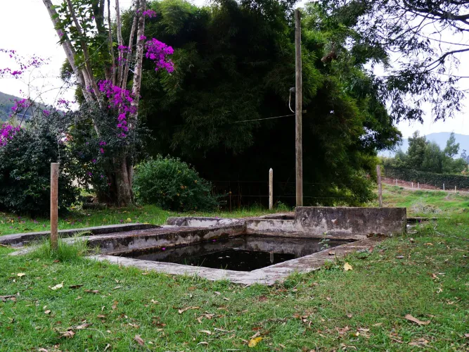 Finca en venta en Lomitas, La Ceja, 67488 m² · foto 11 de 21