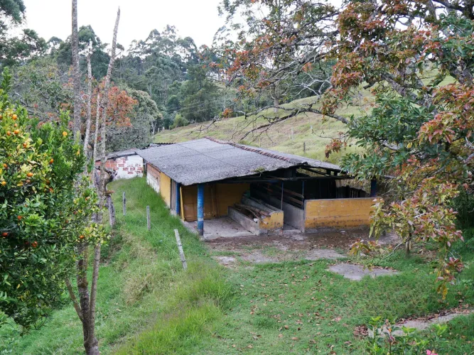 Finca en venta en Lomitas, La Ceja, 67488 m² · foto 14 de 21