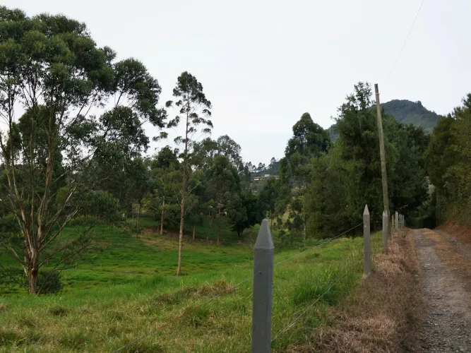 Finca en venta en Lomitas, La Ceja, 67488 m² · foto 15 de 21