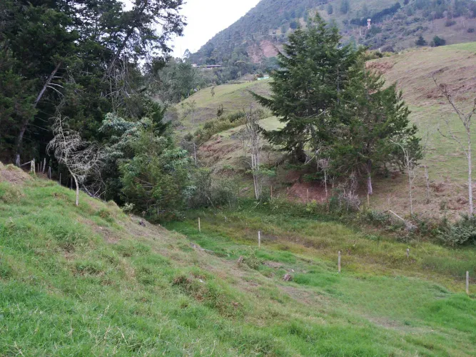 Finca en venta en Lomitas, La Ceja, 67488 m² · foto 16 de 21
